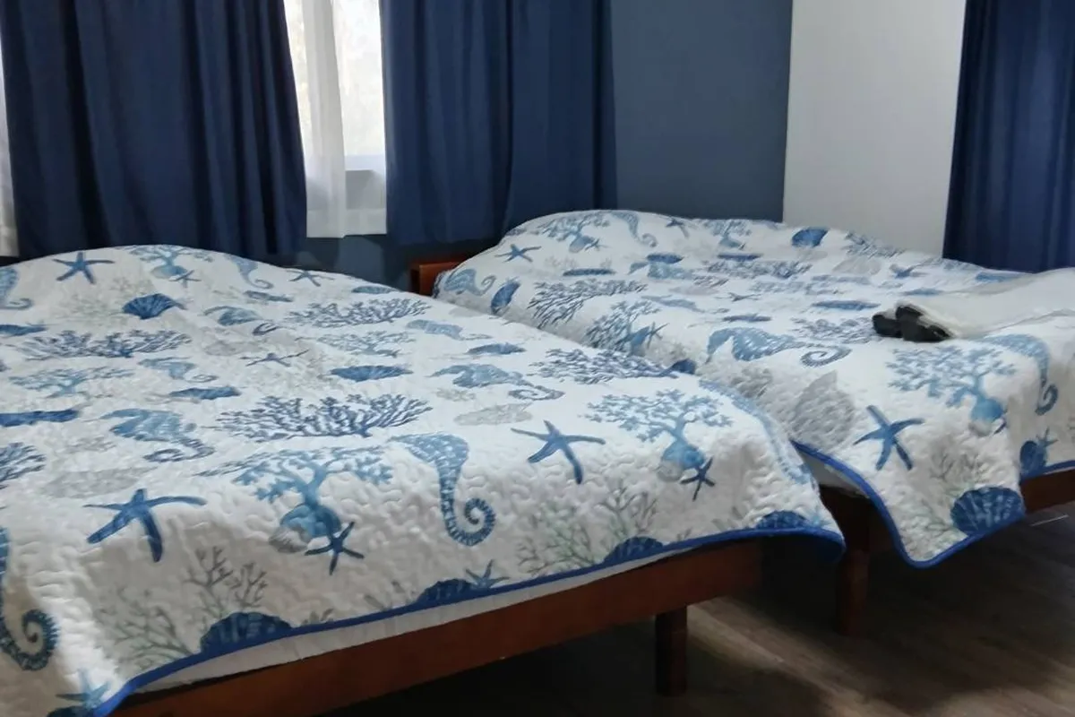 AZAMIヴィラ 青島